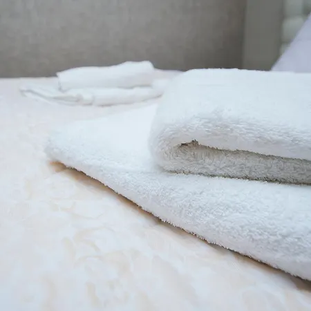 Hotel Aura & Aura *